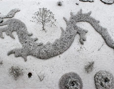 校園雪景 花園